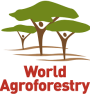 World Agroforestry logo