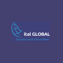 Ital Global Limited  logo