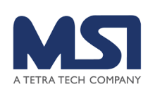Management Systems International (MSI) logo