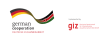 GIZ logo